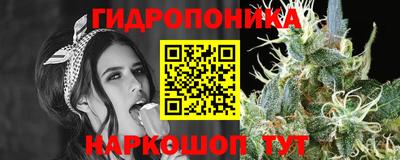 ПСИЛОЦИБИНОВЫЕ ГРИБЫ Кулебаки