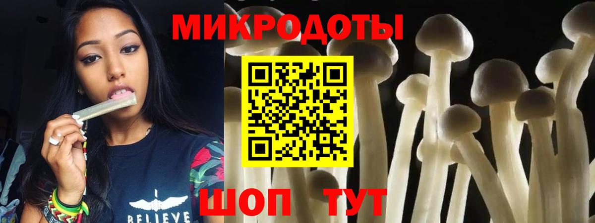 Псилоцибиновые грибы прущие грибы Сыктывкар